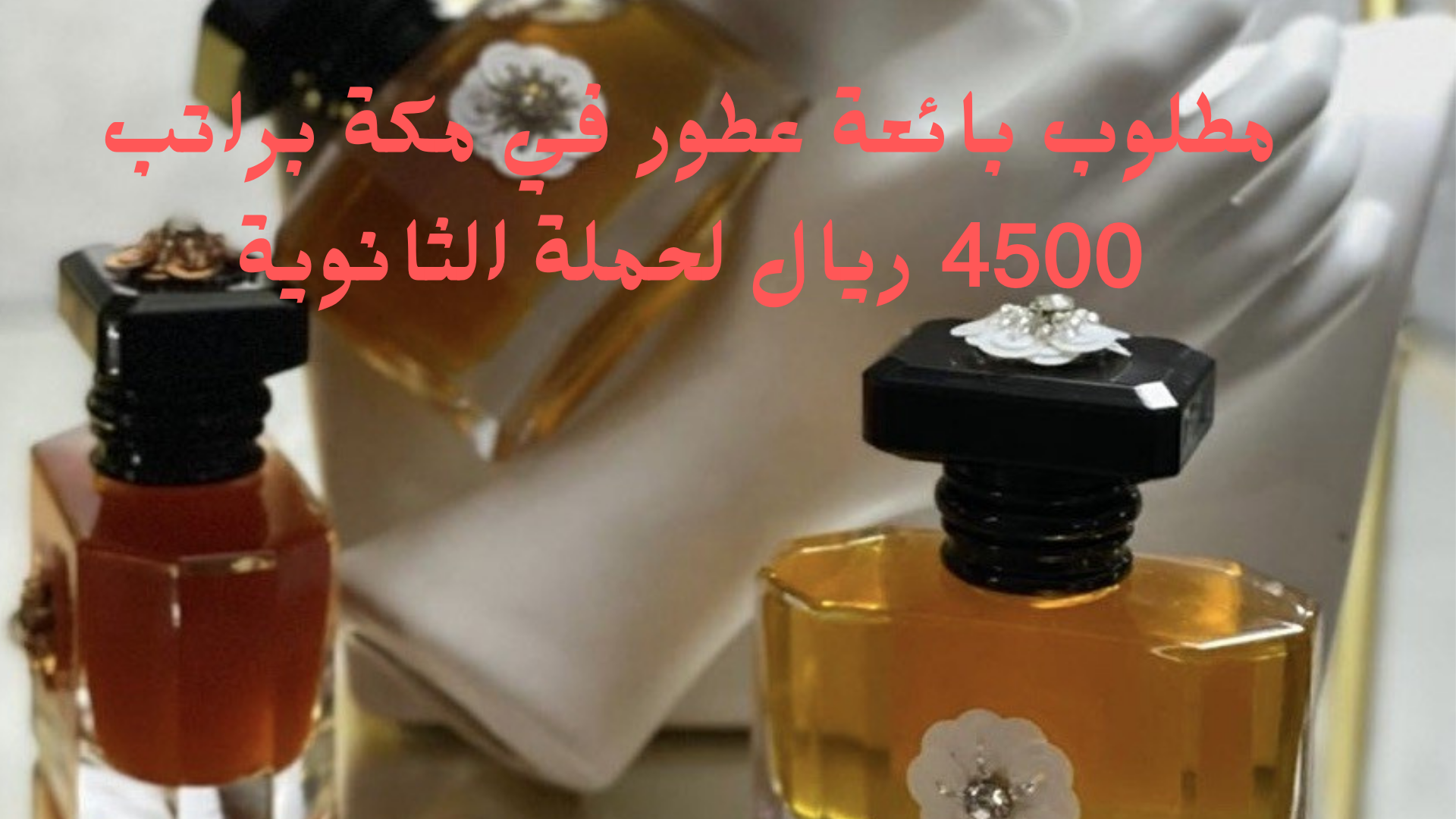مطلوب بائعة عطور في مكة براتب 4500 ريال لحملة الثانوية 1 مطلوب بائعة عطور في مكة براتب 4500 ريال لحملة الثانوية