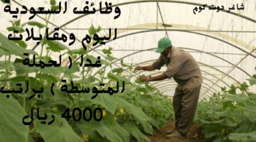 وظائف السعودية اليوم ومقابلات غدا لحملة المتوسطة براتب 4000 ريال