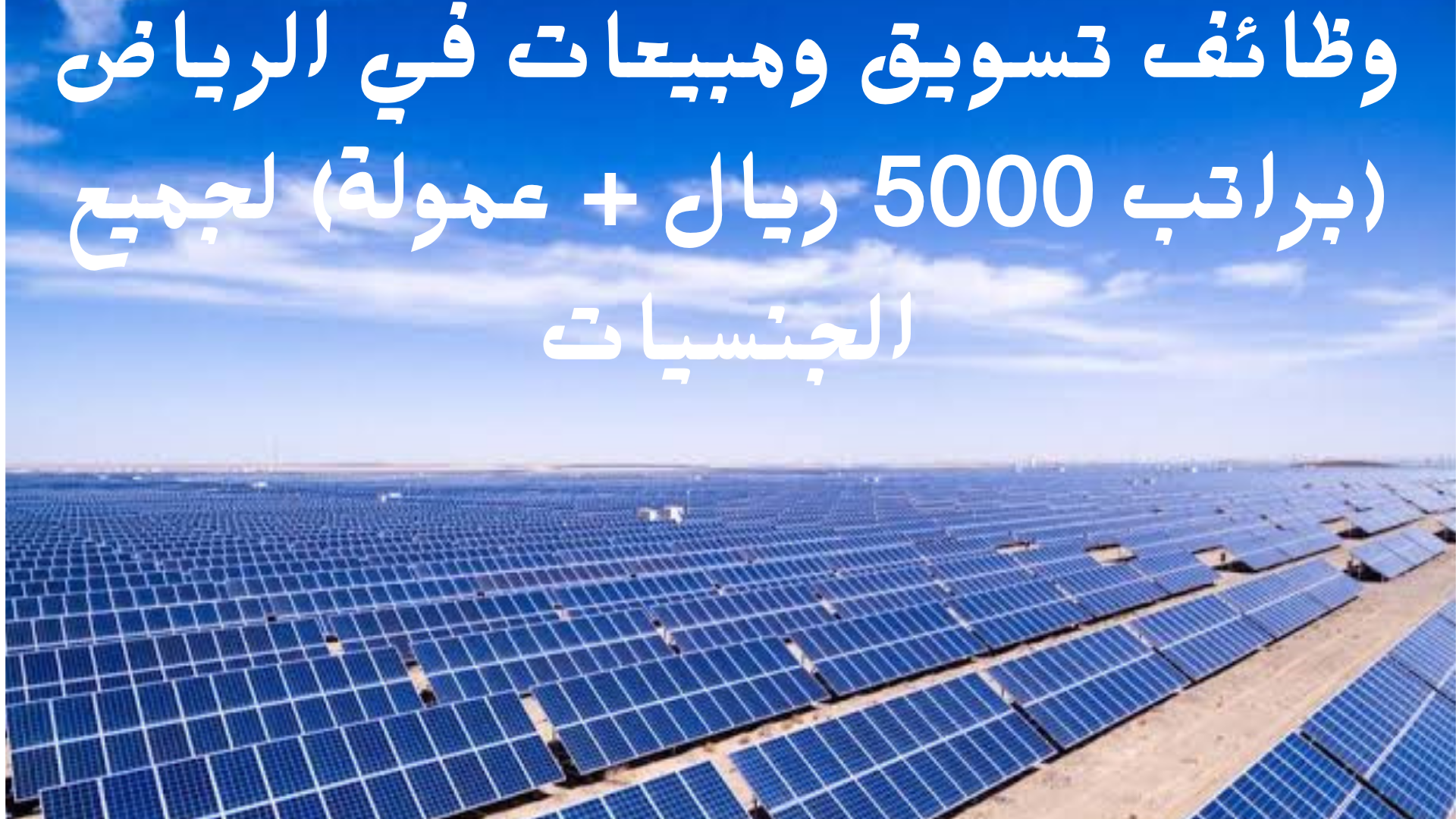 وظائف تسويق ومبيعات في الرياض (براتب 5000 ريال + عمولة) لجميع الجنسيات 1 وظائف تسويق ومبيعات في الرياض (براتب 5000 ريال + عمولة) لجميع الجنسيات